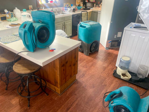 Best Water damage restoration near me  in Two Rivers, WI